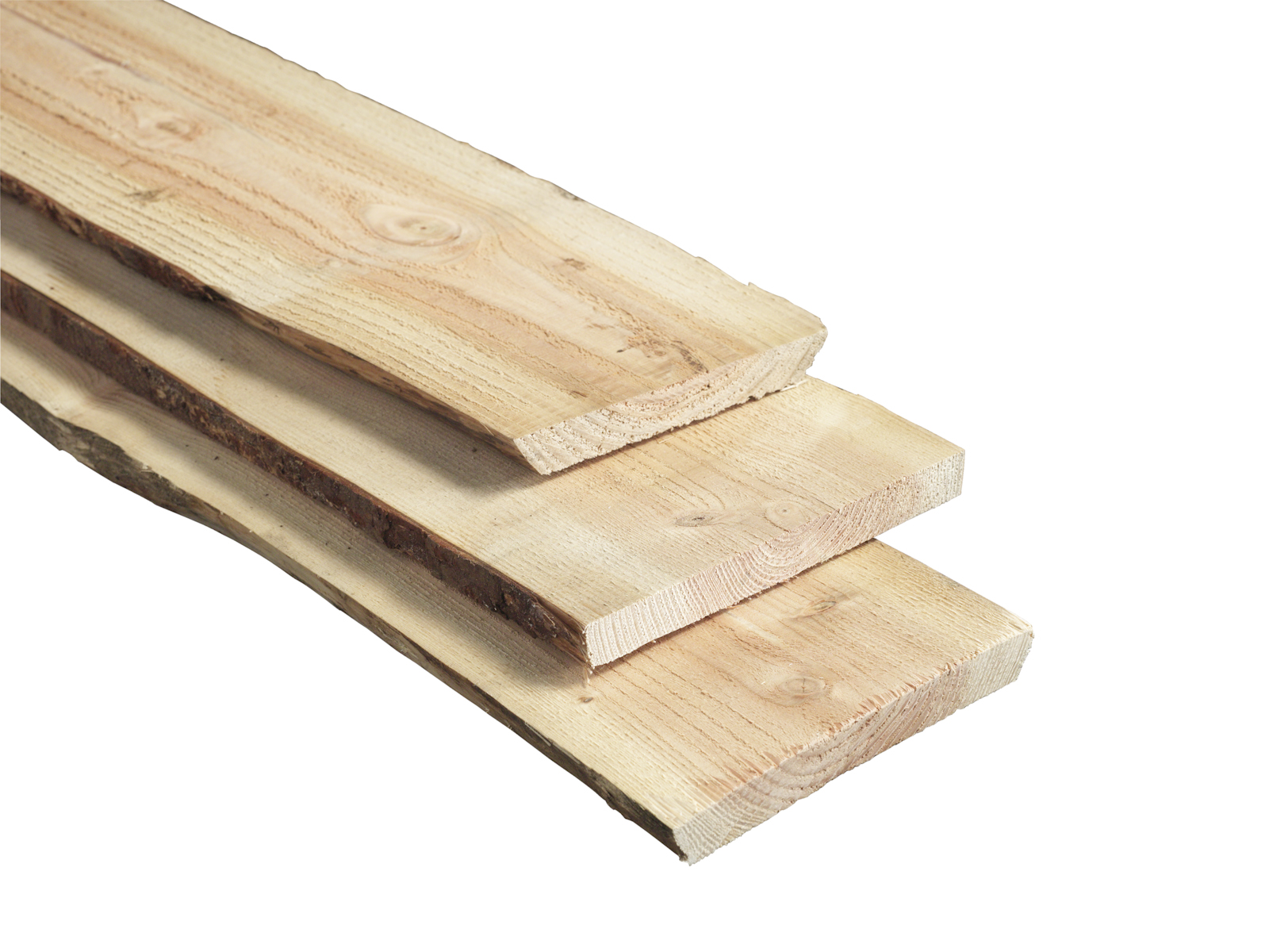 Schaaldelen en boomstamplanken