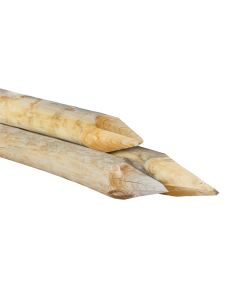 1000353-garlux-afrasteringspaal-a_kwaliteit-boompaal-geschild-grenen-dikgepunt-5-250-cm_Webshop.jpg