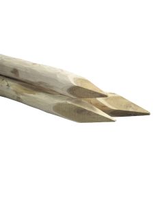 1000443.jpg